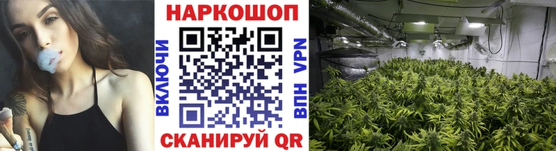 Где продают наркотики Черкесск МАРИХУАНА APVP ГАШ МЕФ