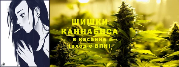 PSILOCYBIN Абаза